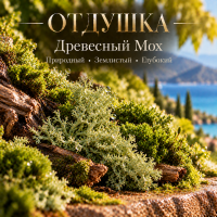 Tree Moss Древесный Мох