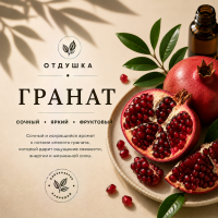 Pomegranate Гранат