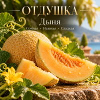 Melon Дыня