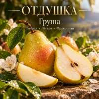 Pear Груша
