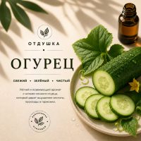 Cucumber Огурец