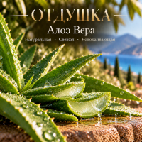 Aloe Vera Алоэ Вера