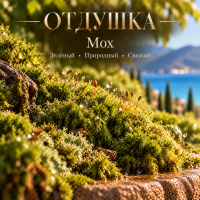 Moss Мох