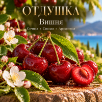 Cherry Вишня