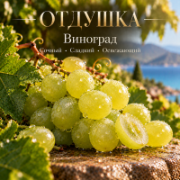 Grape Виноград