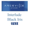 Interlude Black Iris