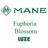 Euphoria Blossom