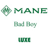 Bad Boy